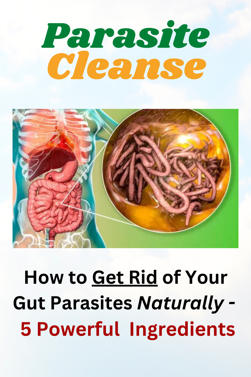 Parasite cleanse.